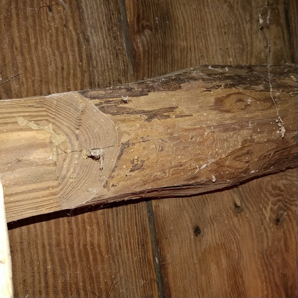 log