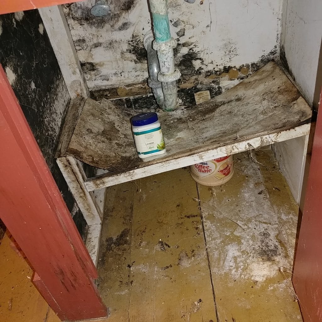 Mold