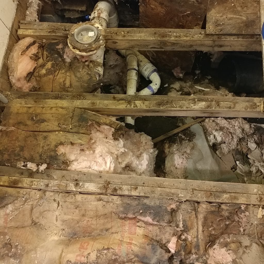 floor
