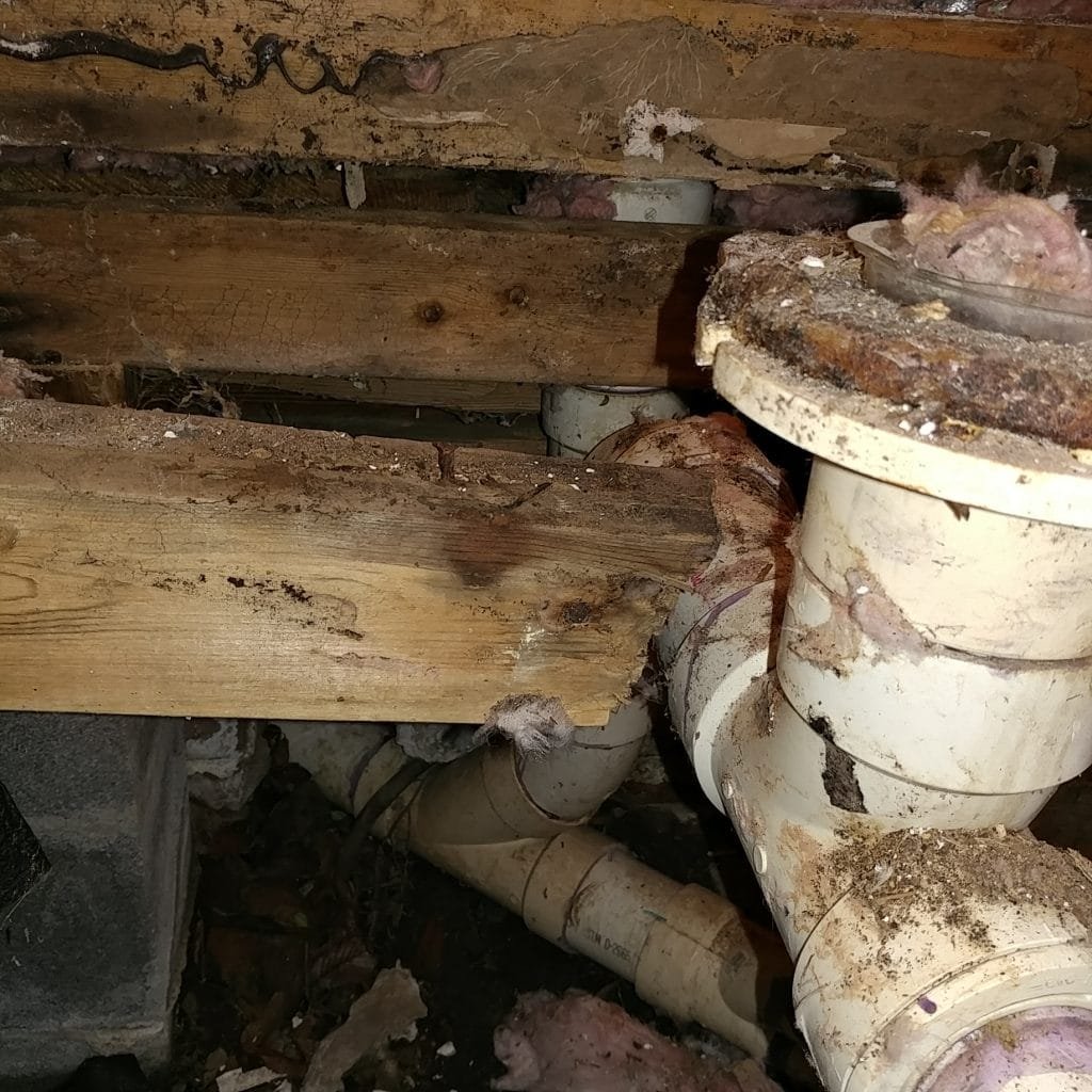cut joist