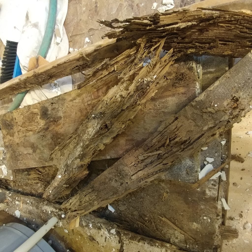 rotten wood