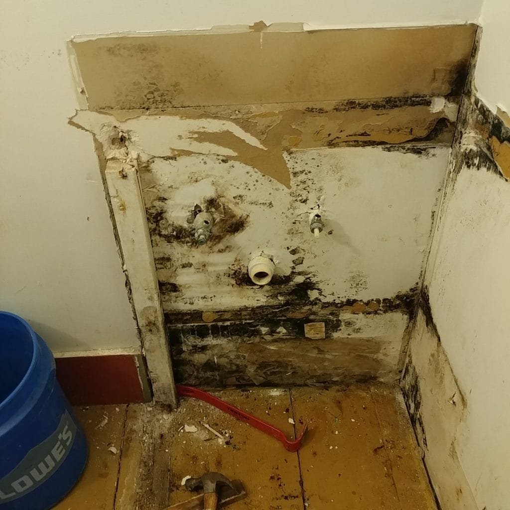 Mold