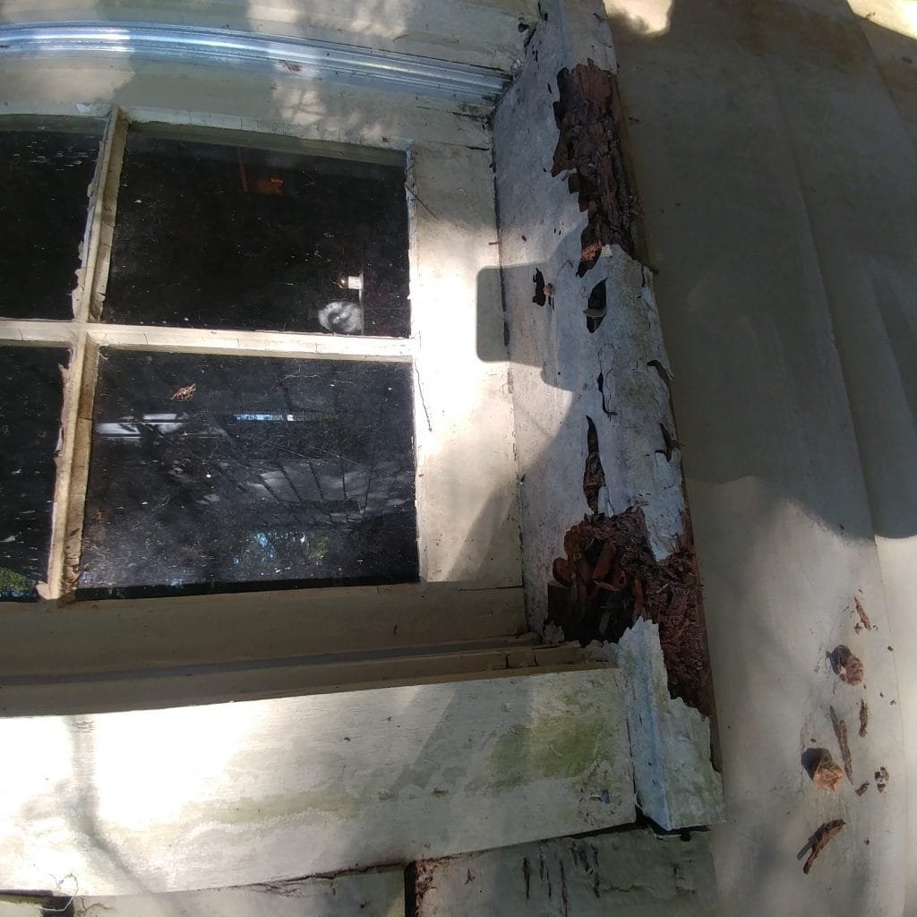 window sill rot