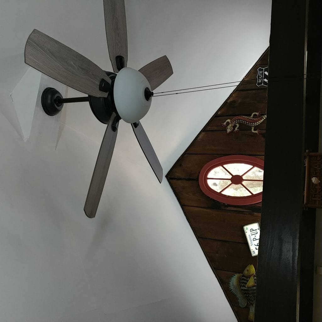 New fan