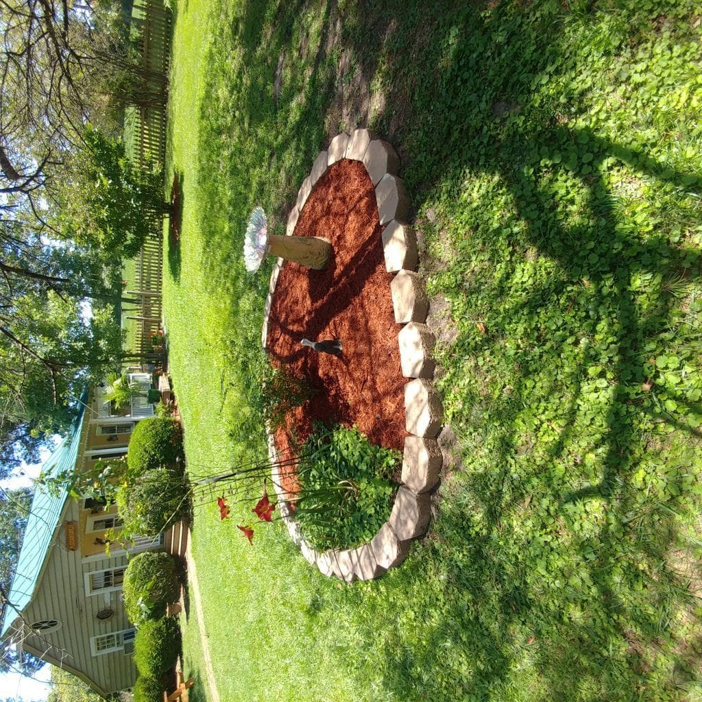 landscape after