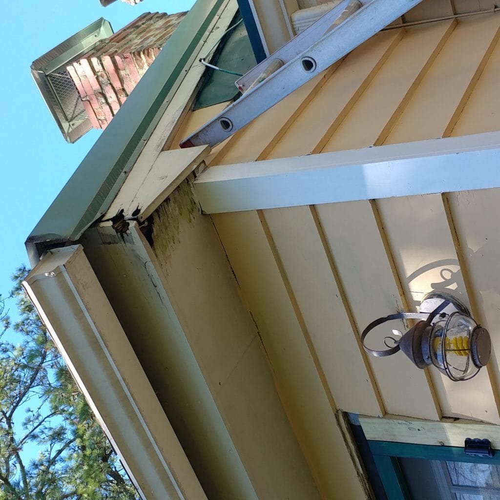 eave rot