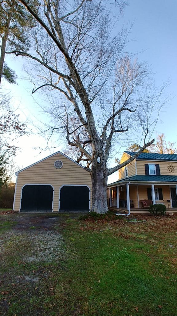 view from front