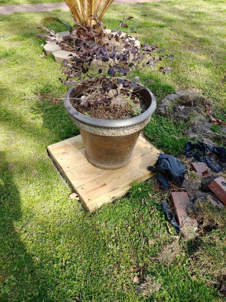 wood cover with plant