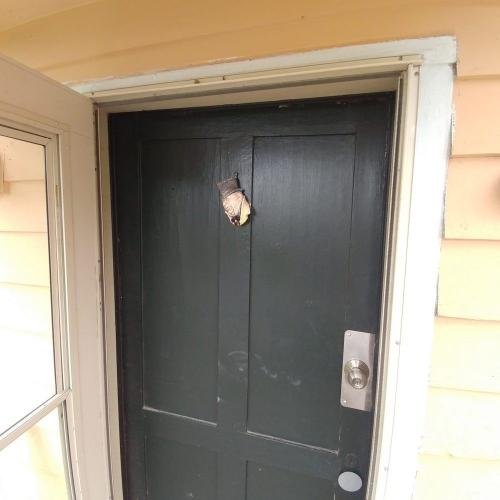 old door outside view