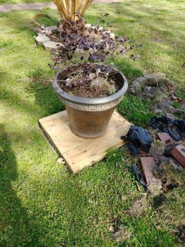 wood cover with plant