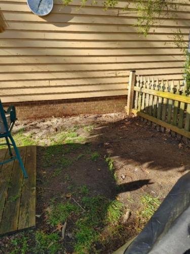 Location picked out for deck