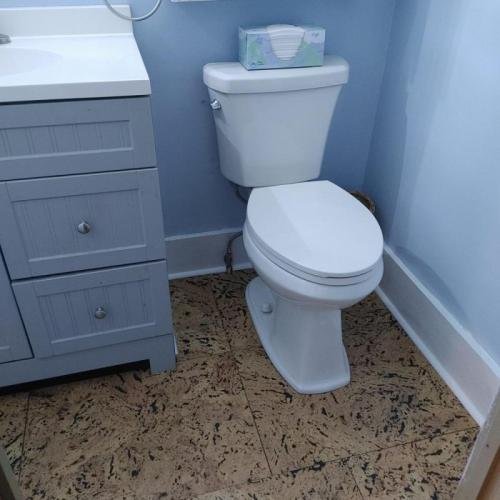 New Toilet and cork flooring
