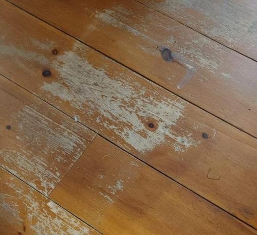 Worn Pine floor